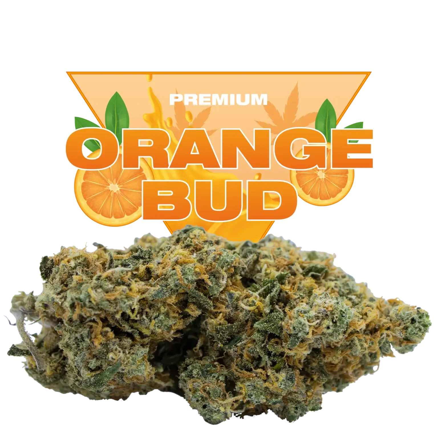 Orange Bud CBD